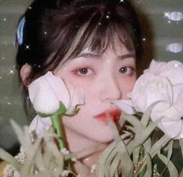 条子阿不拉